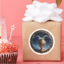 Search for aquarius water bearer stickers Zodiac