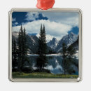 Search for stream christmas tree decorations Outdoors