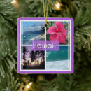 Search for oahu christmas tree decorations Hibiscus