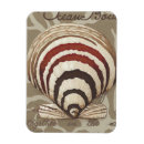 Search for seaside magnets Coastal