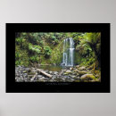 Search for high waterfall Forest