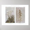 Search for natural art Floral