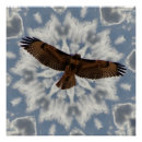 Search for red tailed hawk posters Flight