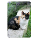 Search for pet rectangular magnets Animals