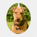 Search for airedale christmas tree decorations Pet