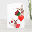 Search for chihuahua valentines day cards Roses