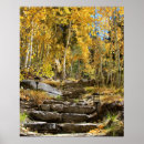 Search for quaking posters Forest
