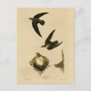 Search for american illustrators postcards Illustration