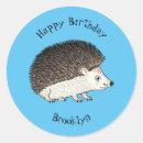 Search for cartoon hedgehog stickers Porcupine