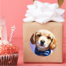 Search for bow tie stickers Kawaii