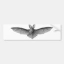 Search for bat bumper stickers Chiroptera