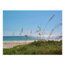Search for sea oat art Water