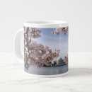 Search for washington dc cherry blossoms mugs Monument