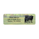 Search for cute country return address labels Farm animals