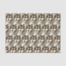 Search for wolf tissue paper Animal