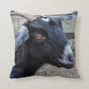Search for goat cushions Black