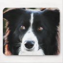 Search for collie mouse mats Farm