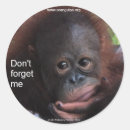 Search for forget stickers Motivational