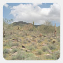 Search for sonoran stickers Desert