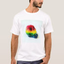Search for equal photography Rainbow