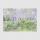 Search for birch trees tissue paper Autumn