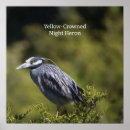 Search for birdwatcher posters Birding