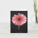 Search for gerber daisy cards Daisies