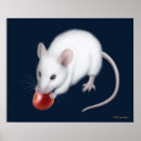 Search for cute hamster posters Mouse