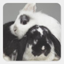 Search for ear stickers Animal