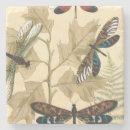 Search for dragonfly coasters Cream