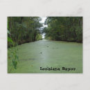 Search for bayou postcards Water