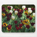 Search for spring color electronics Garden