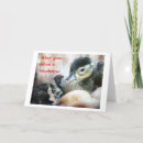 Search for adoptive parents cards Newborn