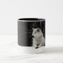 Search for wild wolves mugs Dog