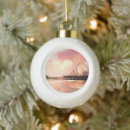 Search for ferris wheel christmas tree decorations Beach