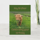 Search for to my brother birthday cards Funny