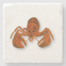 Search for red lobster coasters Coastal