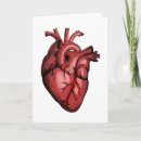 Search for anatomical heart cards Anatomy