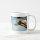 Search for honu mugs Nature