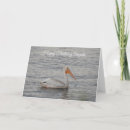Search for pelicans cards Photography