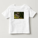 Search for captive tshirts Zoology