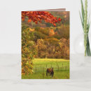 Search for horses thanksgiving cards Animal