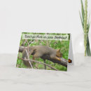 Search for funny squirrel birthday cards Nuts