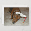 Search for dachsie cards Dashund