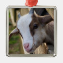 Search for goat christmas decor Kid