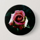 Search for red petal badges Roses