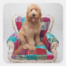 Search for this image square stickers Colourful