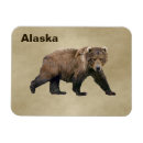 Search for kodiak magnets Bear