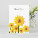 Search for hand drawing cards Simple