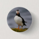 Search for puffin badges Sea